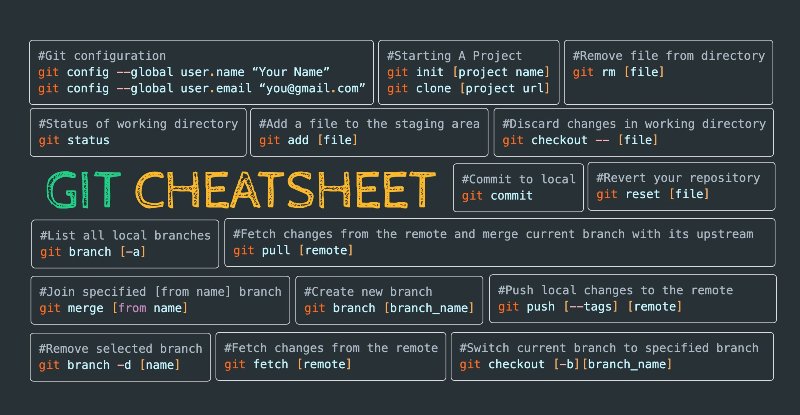78-Selling Coding Roadmaps and Cheat Sheets